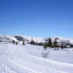 vinter_12